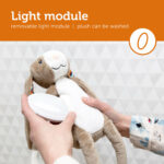 Bo 4 Light Module Lr