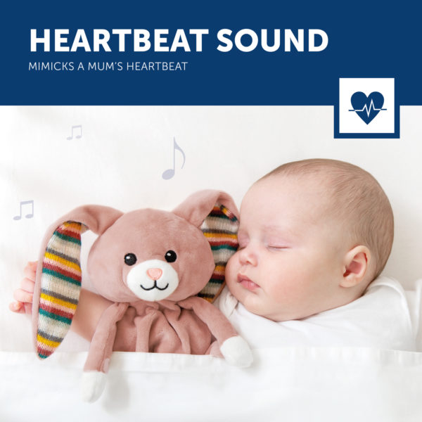 Becky 3 Heartbeat Sound Lr
