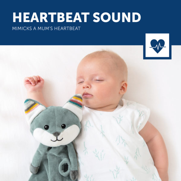 Felix 3 Heartbeat Sound Lr