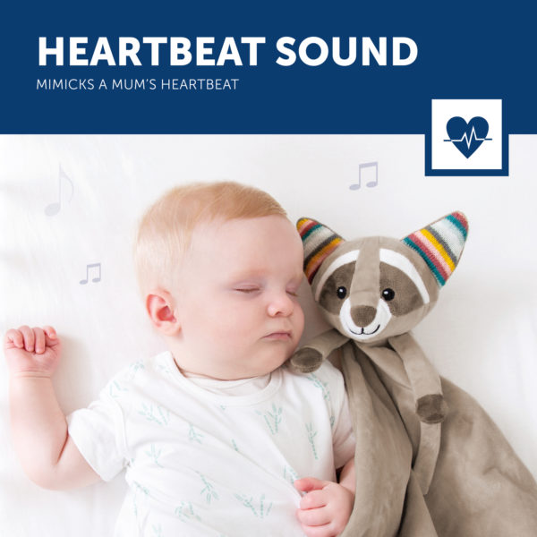 Robin 3 Heartbeat Sound Lr